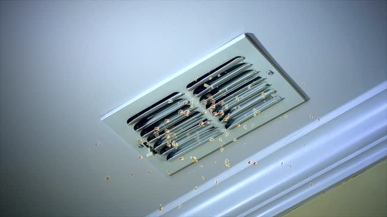 Best Air Duct Cleaning Near Me  in Lucas, TX