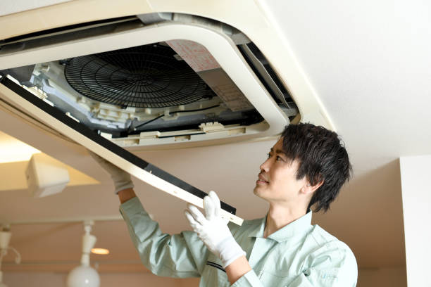 Best Ductwork Cleaning Services  in Lucas, TX